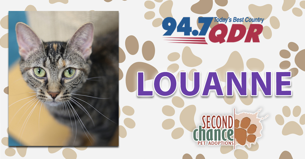 Fursday: Meet Louanne with Second Chance!