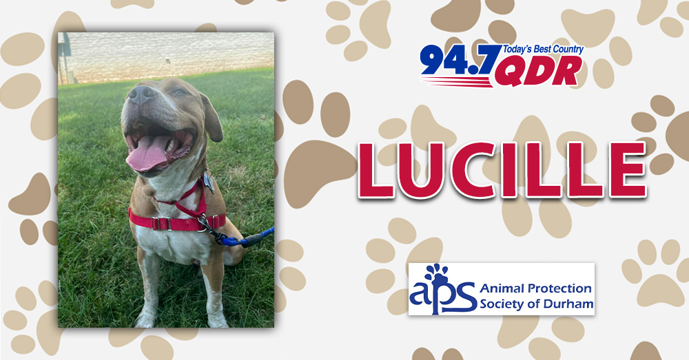 Fursday: Meet Lucille from the APS of Durham!