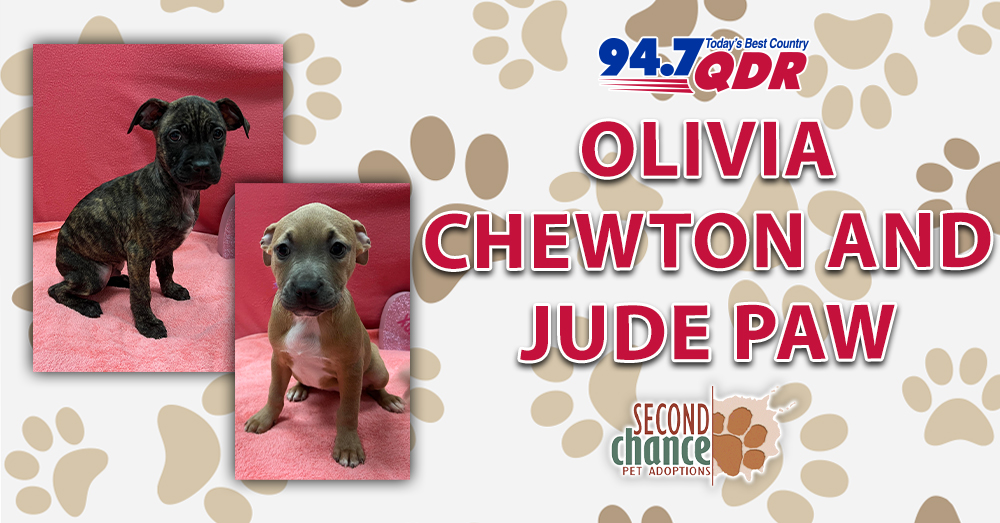 Fursday: Meet Olivia Chewton John and Jude Paw from Second Chance!