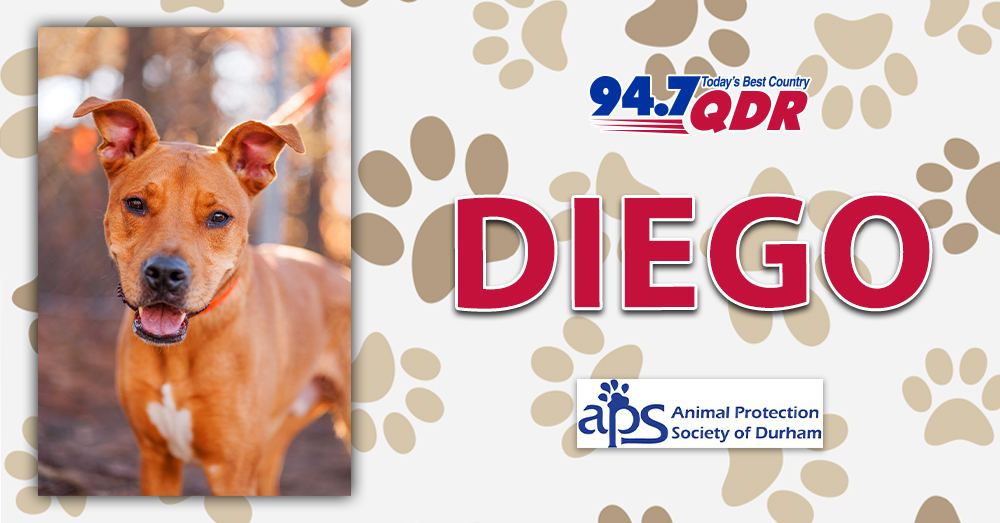 Fursday: Meet Diego from APS of Durham!