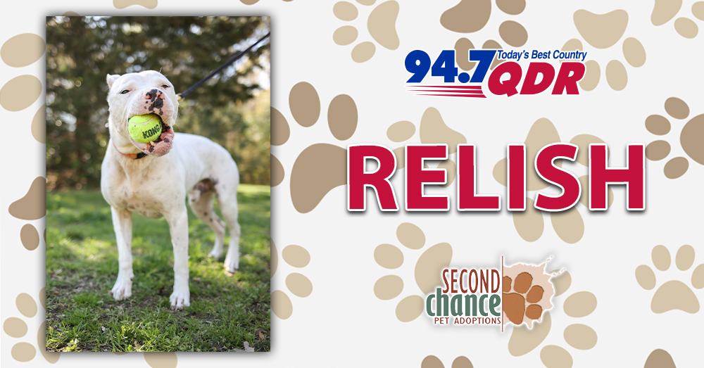 Fursday: Meet Relish from Second Chance!