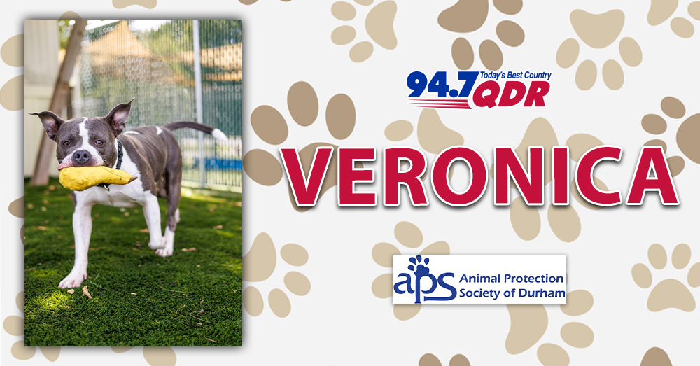 Fursday: Meet Veronica from APS of Durham!