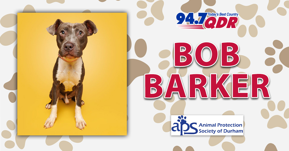 Fursday: Meet Bob Barker from APS of Durham!