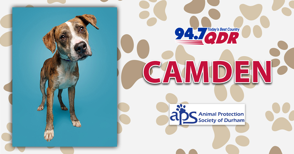 Fursday: Meet Camden from APS of Durham!