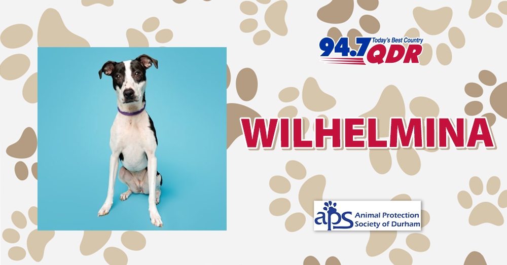 Fursday: Meet Wilhelminia from APS of Durham!