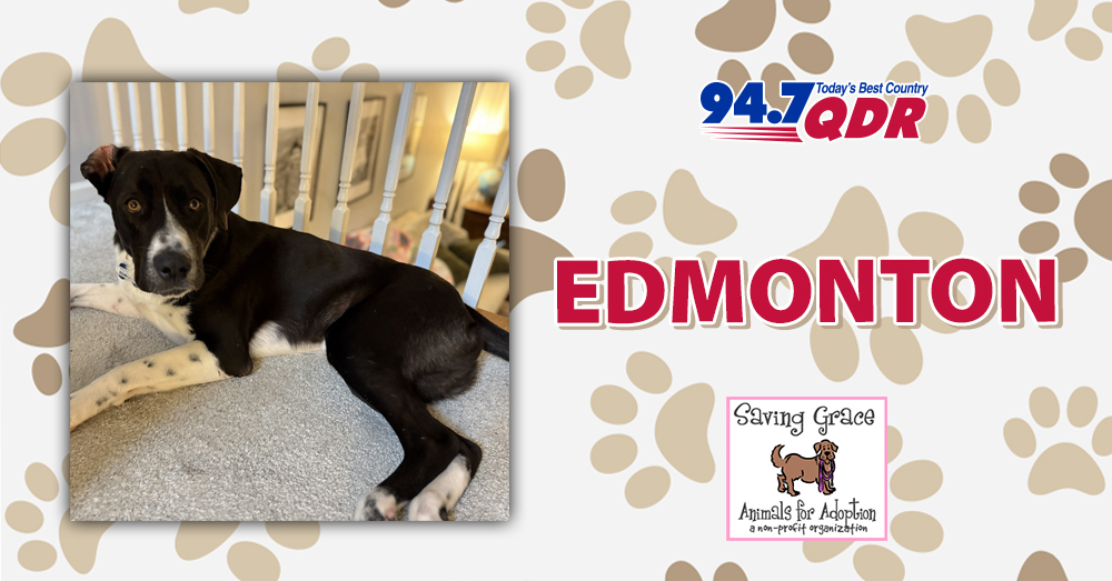 FURS-Day: Meet Edmonton from Saving Grace NC!
