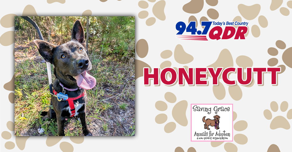 Fursday: Meet Honeycutt from Saving Grace!