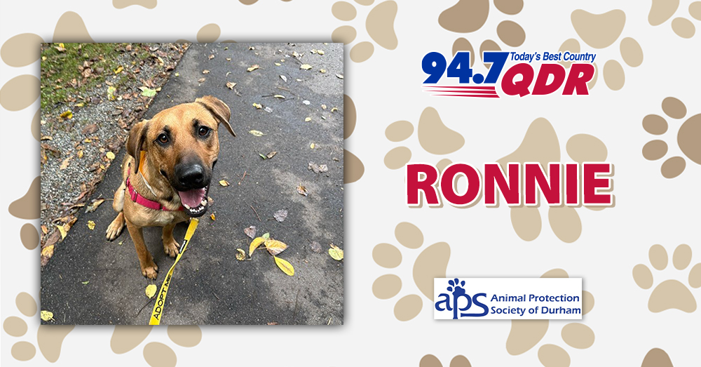 Fursday: Meet Ronnie from APS of Durham!