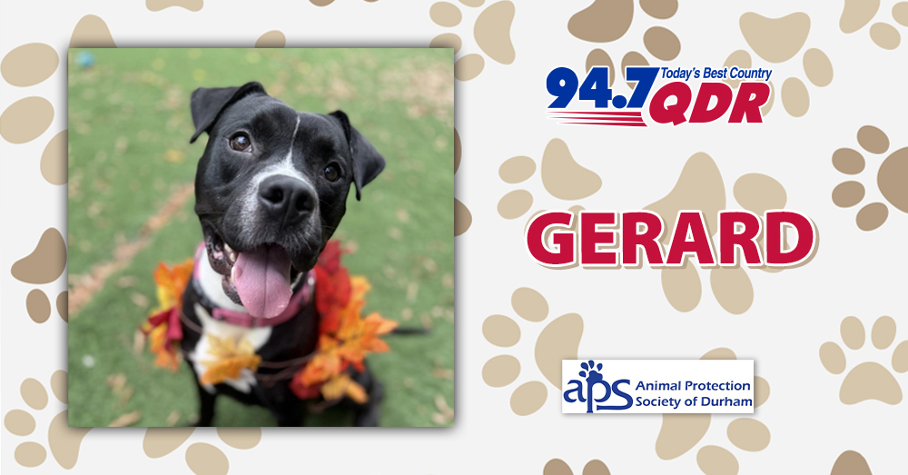 Fursday: Meet Gerard from APS of Durham!