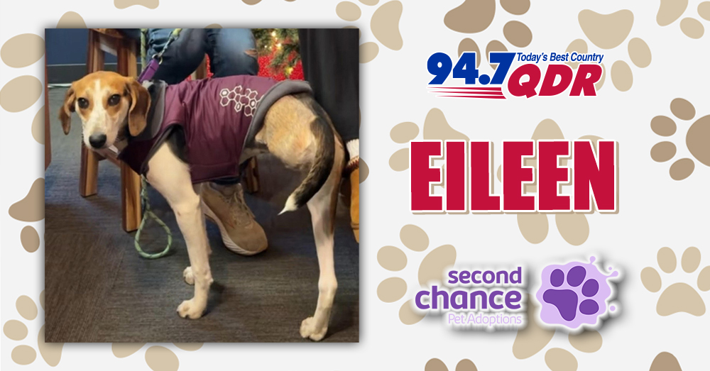 Fursday: Meet Eileen from Second Chance Adoptions!