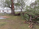 Storm Debris Closes Roads East Of Mount Olive