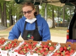 PIC OF THE DAY: Strawberry Season Starts