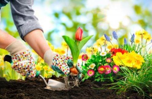 May Gardening Tips