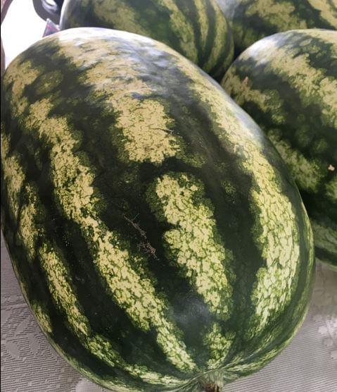 Peak Watermelon Season Is Here