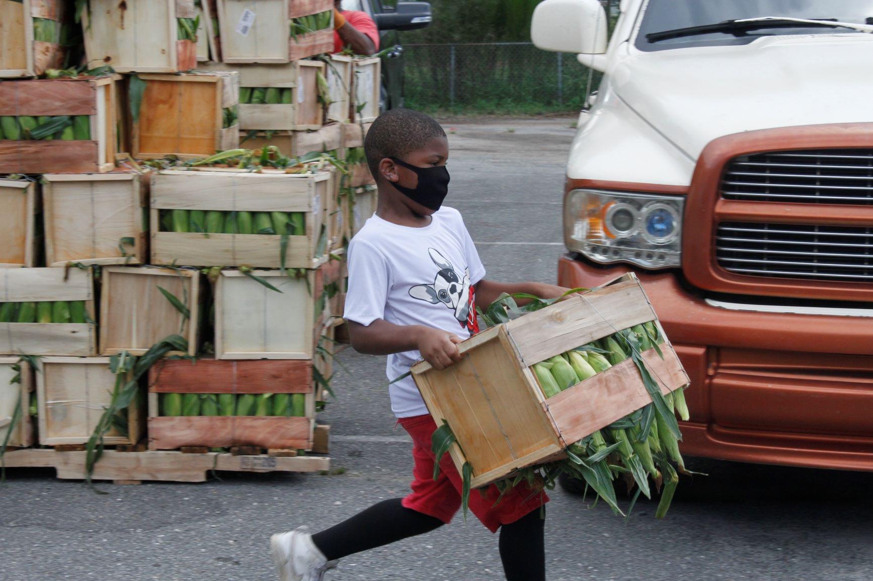 Fresh Corn Handed Out In Mount Olive (PHOTO GALLERY)