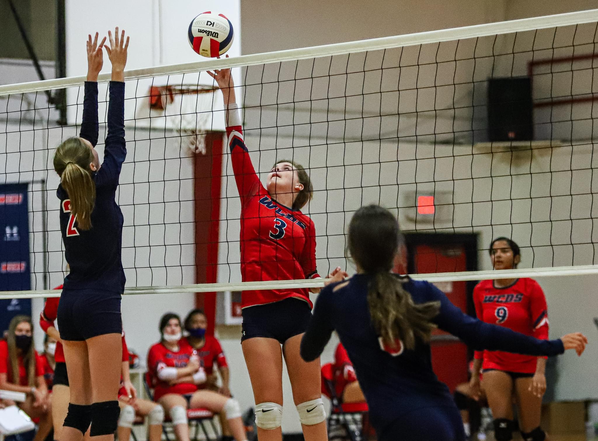 Volleyball: Wayne Country Day Eliminates Thales Academy In NCISAA 2A Playoffs (PHOTO GALLERY)