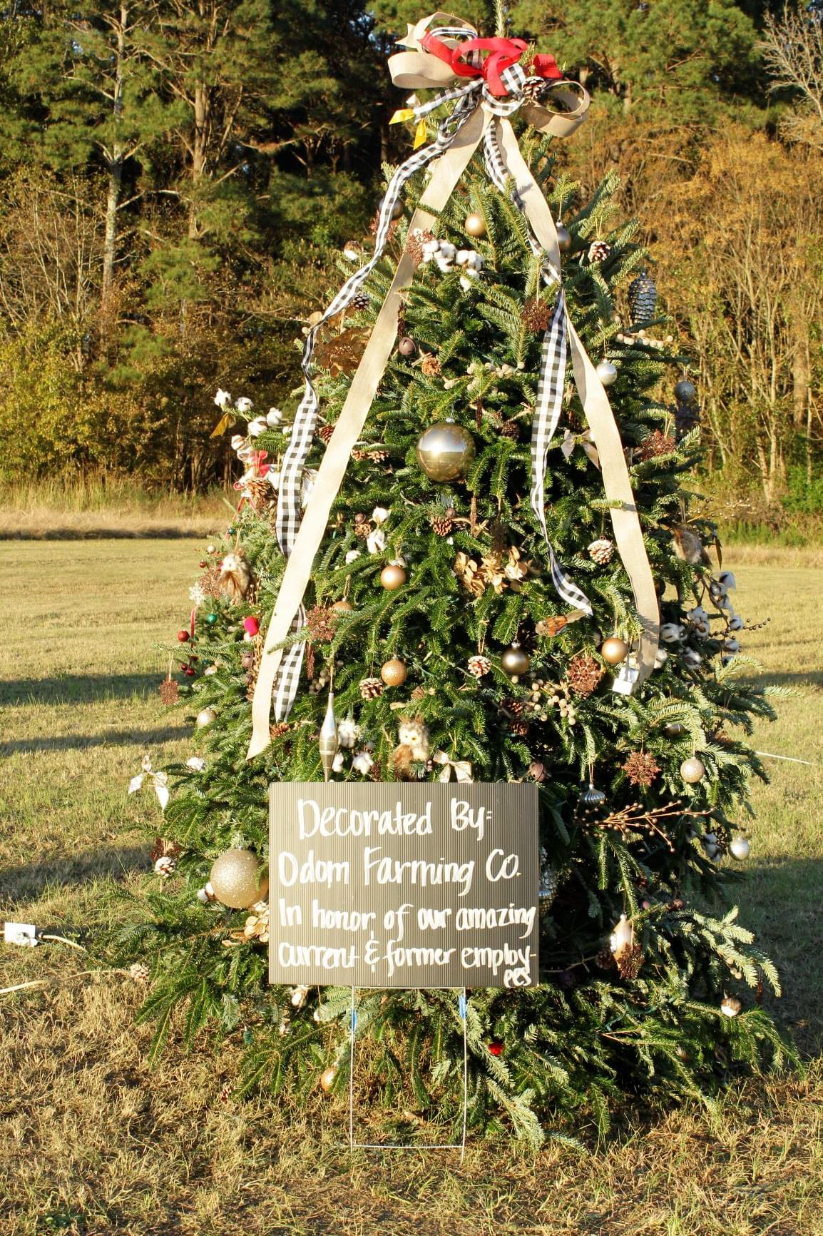 Final Weekend For Festival Of Trees