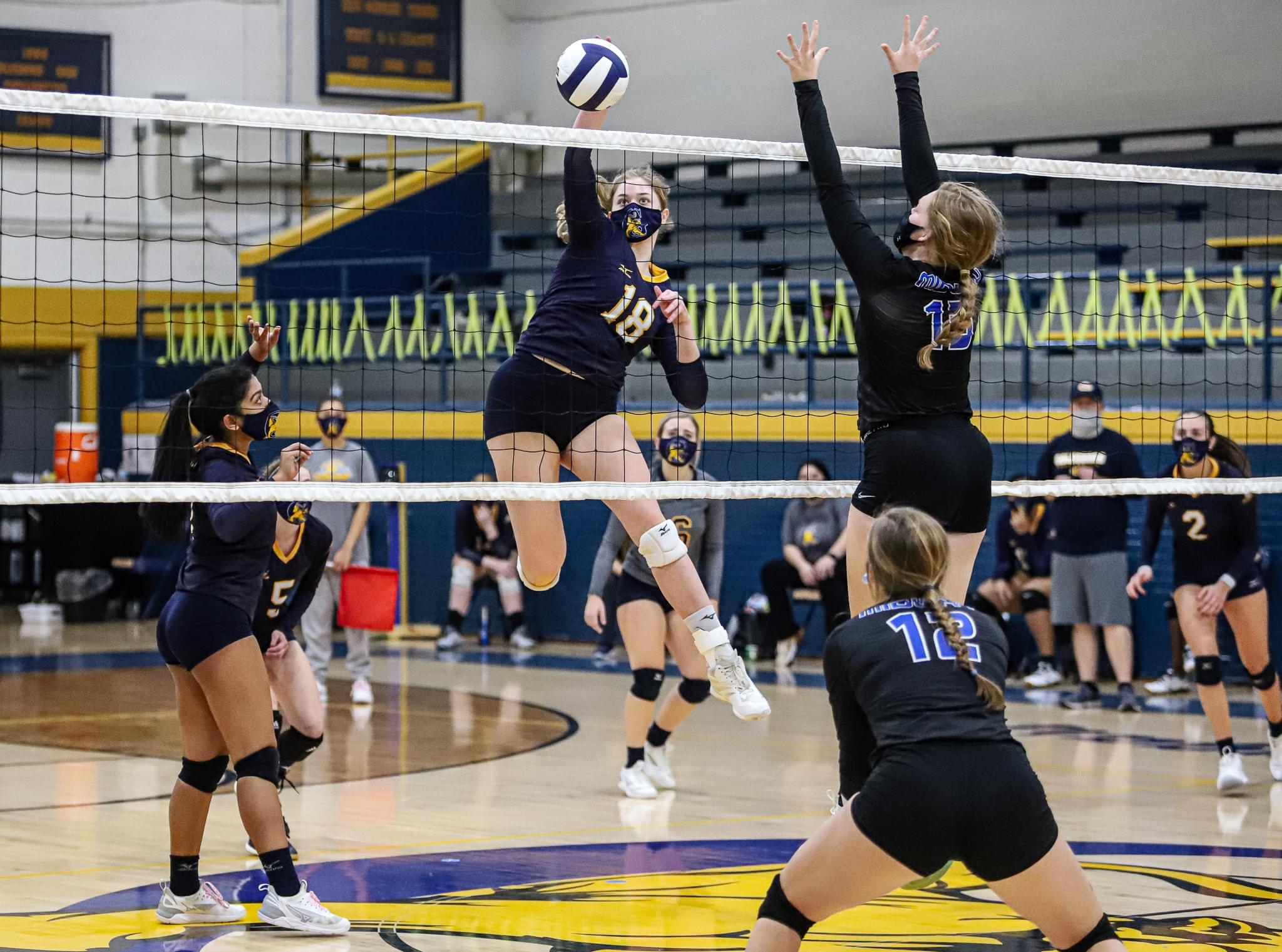 Volleyball: Goldsboro’s Brown Named ECC Player Of The Year