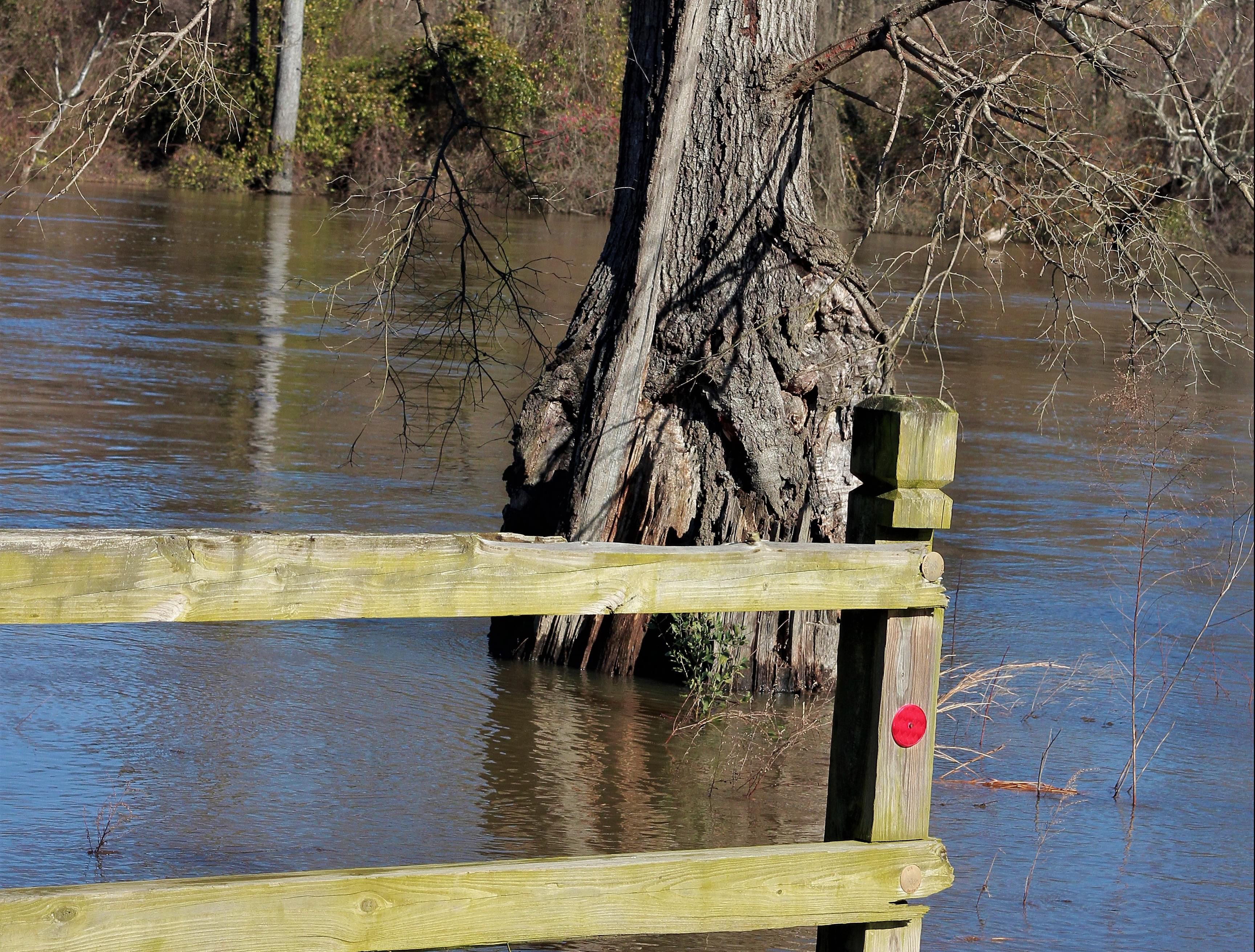 Neuse River Falling After Days Of Flooding