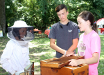 Virtual Beekeeping Classes Begin Next Week
