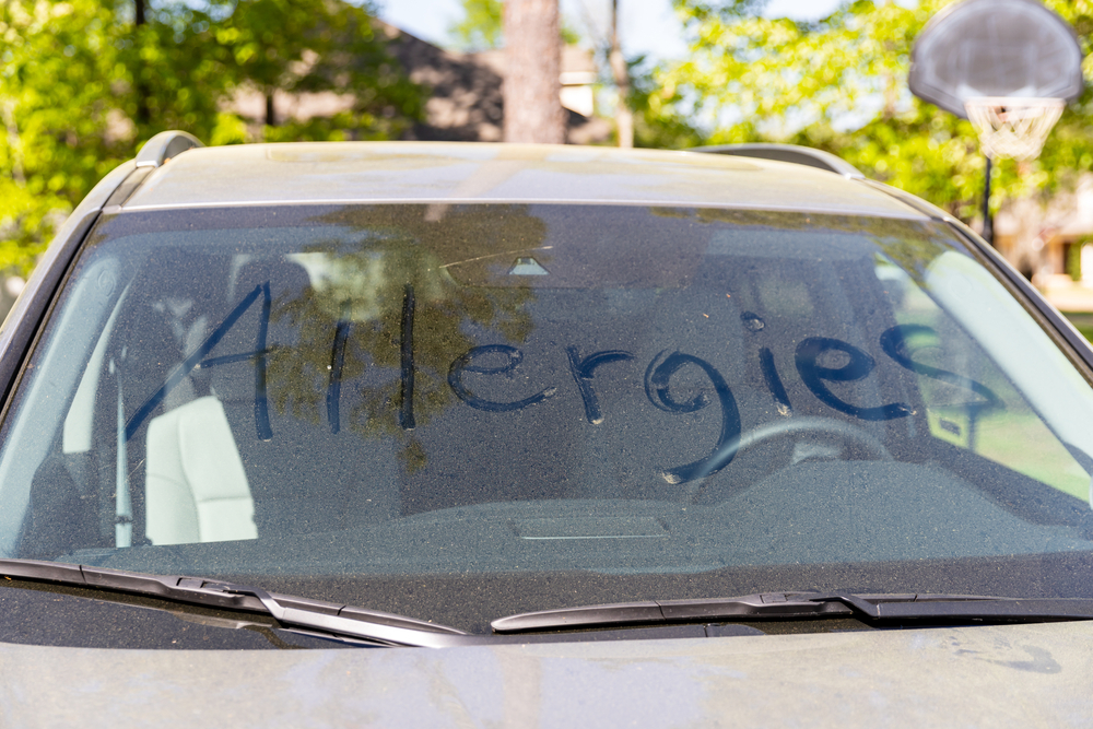 Pollen Season Arrives Late In N.C.