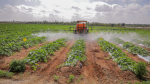 Wayne County Enters Harvest Time As Ag Season Winds Down