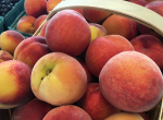 Peach Season At The Farm Credit Farmers Market