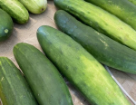 Cucumber Season At The Farm Credit Farmers Market