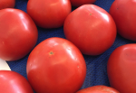 Tomato Season At The Farm Credit Farmers Market