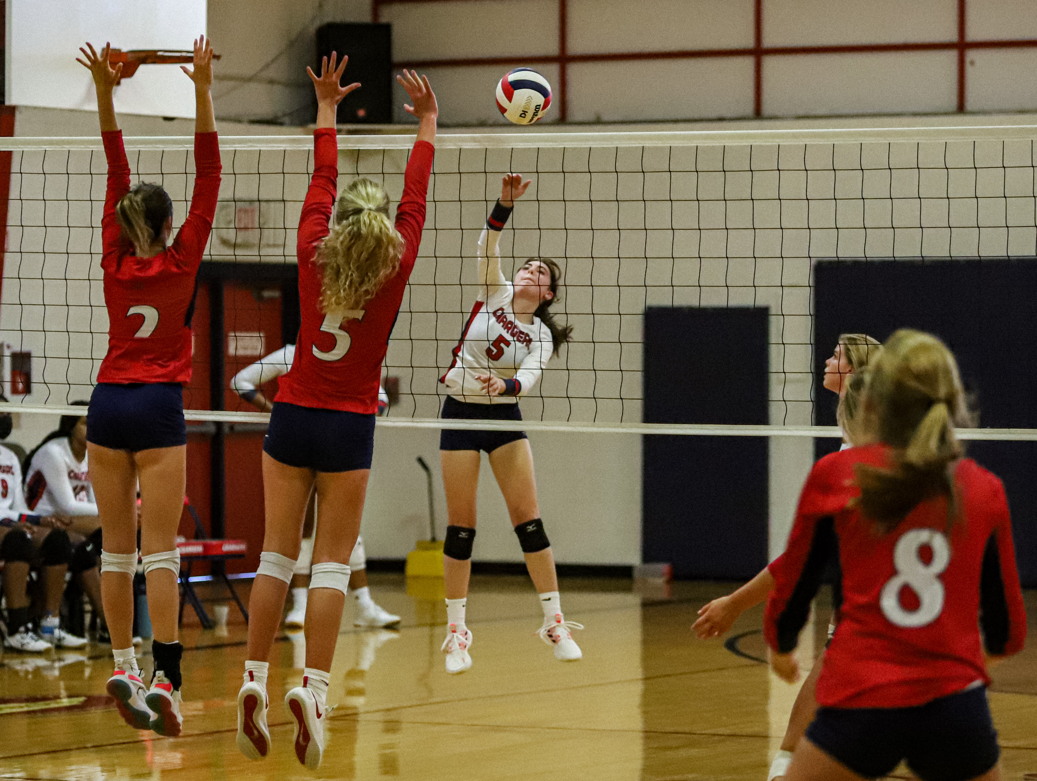 Volleyball: WCDS Goes Up Against Rocky Mount Academy (PHOTO GALLERY)