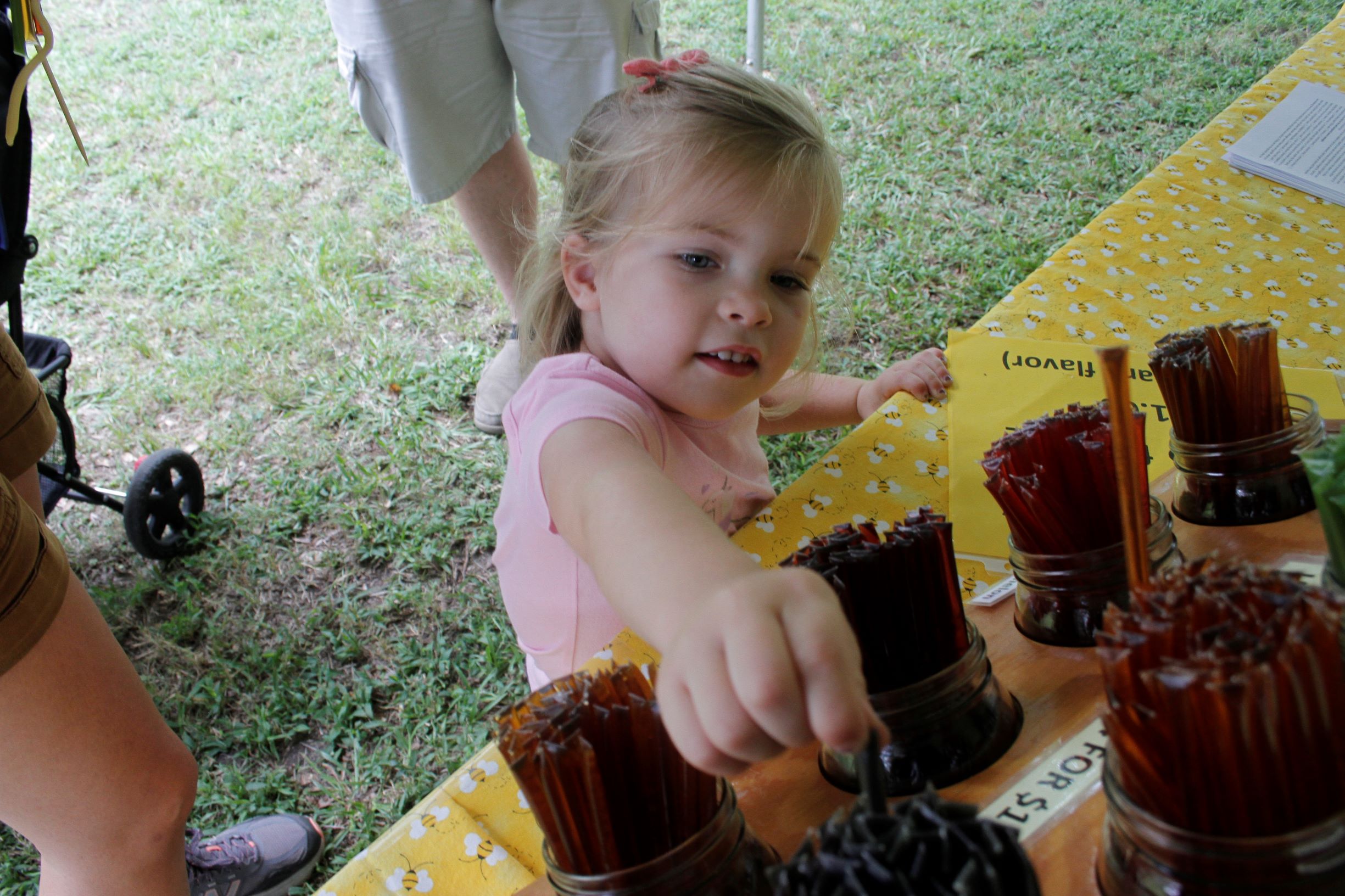 Beekeepers Enjoy Day In The Park (PHOTO GALLERY)