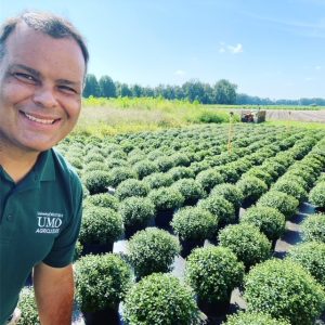 Mums The Word: UMO To Hold Fall Plant Sale