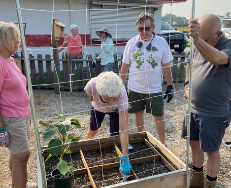 Become An Extension Master Gardener Volunteer!