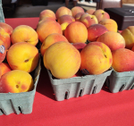 Mount Olive Presbyterian Brings Back Farmers Market