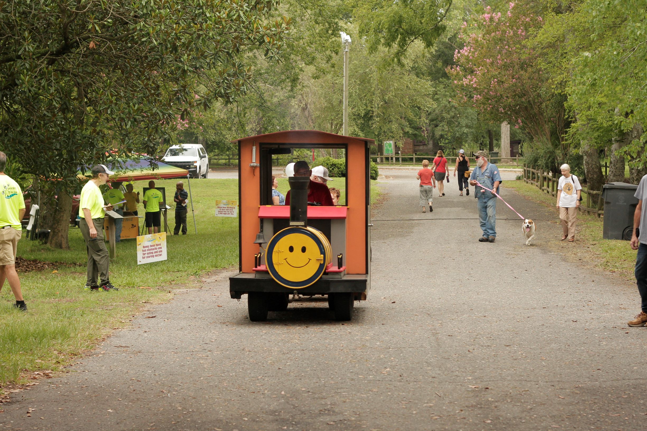 National Honey Bee Day Celebration