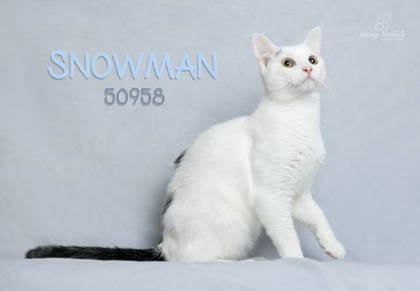 PET OF THE WEEK: Snowman Powered by Jackson & Sons