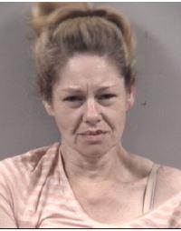 Dunn Woman Charged with Crimes in Multiple Counties