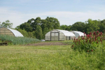 Small Farm Unit to Host Demonstration and Field Day