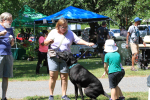 Old Waynesborough Park Hosts National Honey Bee Day Celebration