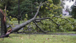 Tropical Storm Ophelia Damage