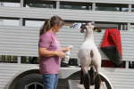 Gallery: Wayne Regional Agricultural Fair Sept. 30