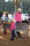 Gallery: Wayne Regional Agricultural Fair 0ct. 6