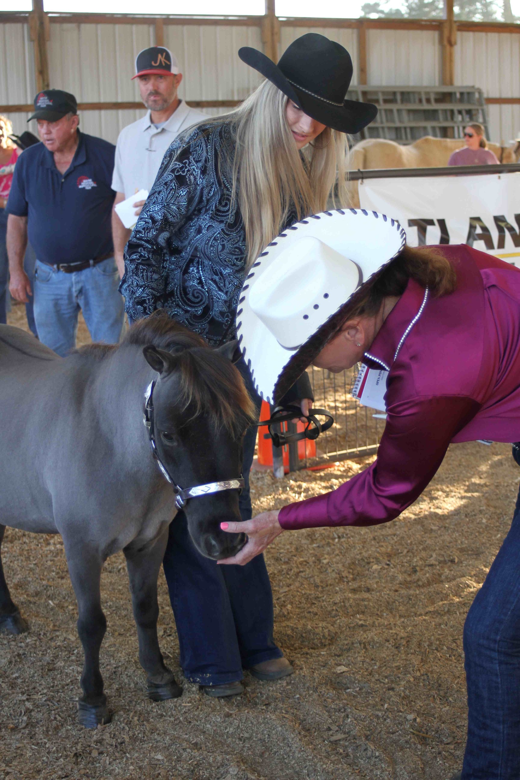 Gallery: Wayne Regional Agricultural Fair 0ct. 6