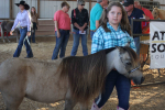 Gallery: Wayne Regional Agricultural Fair 0ct. 6