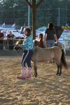 Gallery: Wayne Regional Agricultural Fair 0ct. 6