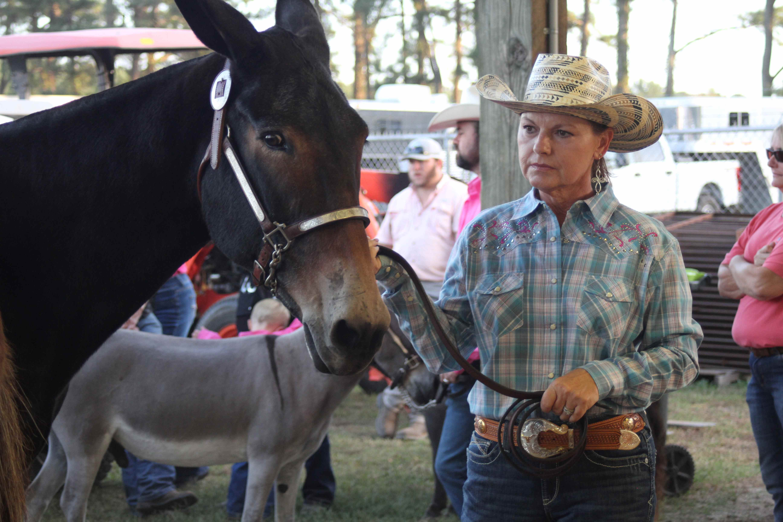 Gallery: Wayne Regional Agricultural Fair 0ct. 6