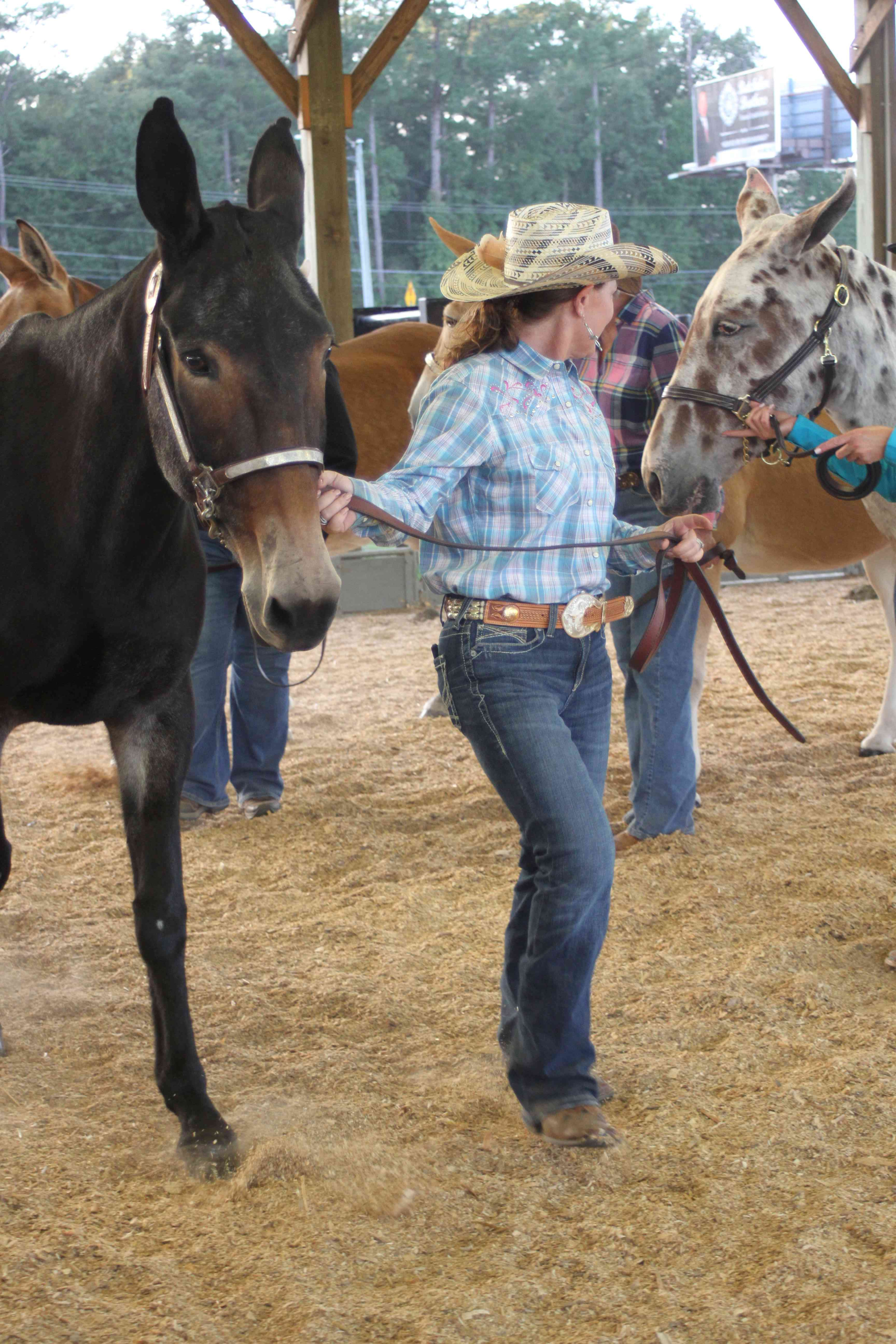 Gallery: Wayne Regional Agricultural Fair 0ct. 6