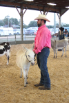 Gallery: Wayne Regional Agricultural Fair 0ct. 6