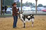 Gallery: Wayne Regional Agricultural Fair 0ct. 6