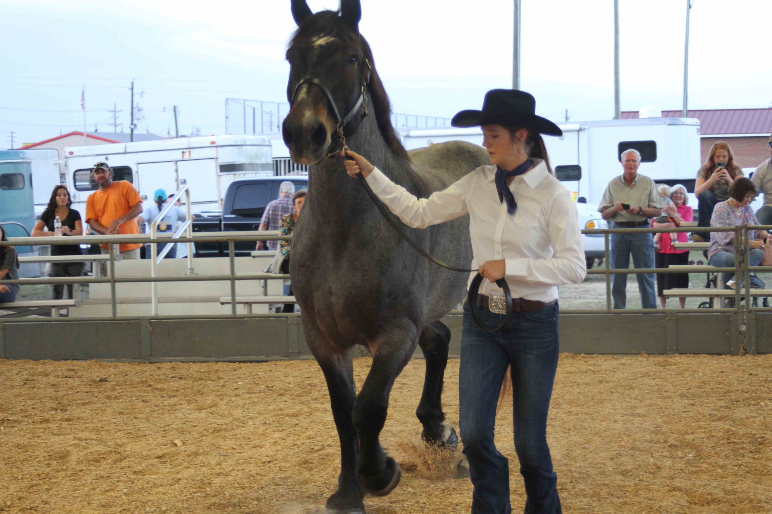 Gallery: Wayne Regional Agricultural Fair 0ct. 6